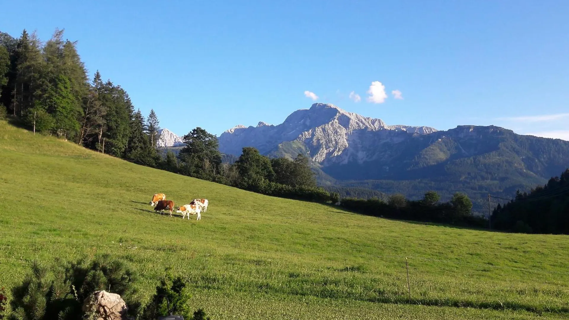 Apartment Gaestehaus Laercheck Berchtesgaden Fewo Morgensonne Germany
